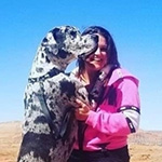 Primary Pet Care client "Jessica & Crawl" a Great Dane.