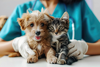 Veterinarian with a new puppy and kitten on the exam table.